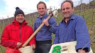 Die Winzer das Weingut und die vier Jahreszeiten  Die WetterReportage [upl. by Jourdain768]