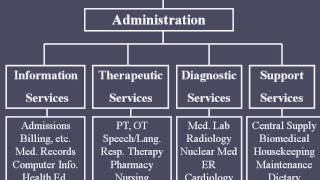 Hospital Organizational Structure [upl. by Hcirteid]