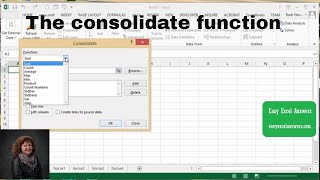 How to use the consolidate function in Excel [upl. by Mauchi]