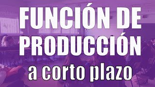 Función de producción a corto plazo [upl. by Adnovahs342]