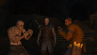 Gaunter ODimm vs Unseen Elder  Witcher 3 [upl. by Darum]