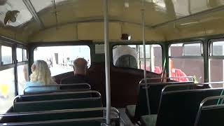 Eastbourne Classic Bus Running Day 2023 AEC Regent V [upl. by Cheslie]