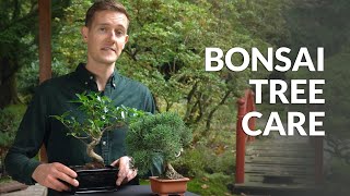 Bonsai tree care [upl. by Laktasic]