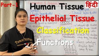 Tissue in Hindi  Epithelial Tissue  Functions  Classification  Part1 [upl. by Terris]