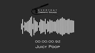 Juicy Poop  HQ Sound Effect [upl. by Obmar]