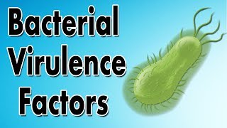 Bacterial Virulence Factors [upl. by Anirtal]