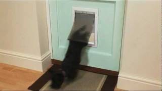 Staywell® Aluminium Pet Door for Dogs amp Cats [upl. by Kella146]