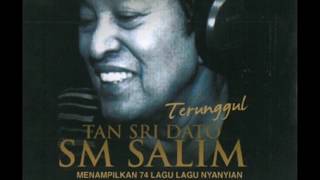 SM Salim  Lagu Zaman Official Audio Video [upl. by Ymrej89]