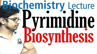 Pyrimidine biosynthesis [upl. by Philender]