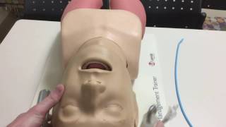 How to Intubate Manual Laryngoscopy [upl. by Penman]