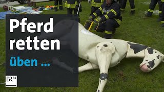 Pferd in Notlage Feuerwehr trainiert die Großtierrettung  BR24 [upl. by Dorena305]