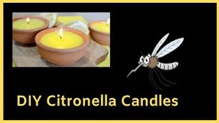 DIY Citronella Candles and Citronella Alternatives [upl. by Ainahtan]