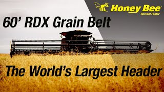 THE WORLDS LARGEST HEADER  60 Honey Bee RDX Grain Belt  Demo [upl. by Pulchi512]