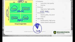 Marketing Mix Pricing Strategies [upl. by Gerdi]