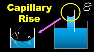 🔴 Capillary Rise  Surface Tension  for Class 11 in HINDI [upl. by Ravel]