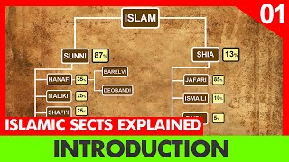 Introduction Islam sects explained  Episode 1  Division of Shia and Sunni  InQuisitive Insight [upl. by Eseyt431]