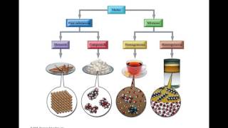 Chapter 1  Introduction Matter and Measurement [upl. by Shelah758]