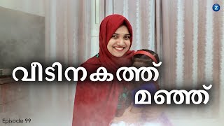 വീടിനകത്ത് മഞ്ഞ്  ztalks  Episode 99 [upl. by Doralia699]