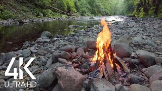 8 HOURS Crackling Campfire with Relaxing River Sounds and Wonderful Bird Singing [upl. by Oiramat]