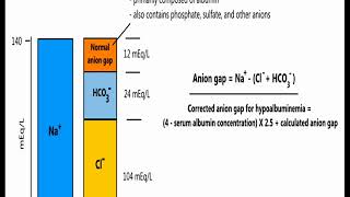 Understanding Anion Gap in 5 minutes [upl. by Asiilanna]