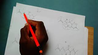 How to identify a Terpene and its isoprene units [upl. by Daberath]