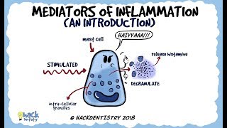 Mediators of Inflammation An Introduction [upl. by Aniahs]