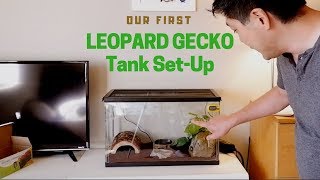 Our first LEOPARD GECKO TANK SETUP [upl. by Tertius786]