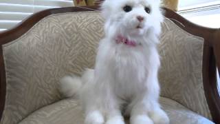 FurReal Lulu White Persian Cat Demo [upl. by Eniarda73]