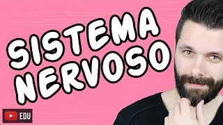 SISTEMA NERVOSO  FISIOLOGIA  Aula  Biologia com Samuel Cunha [upl. by Stryker858]