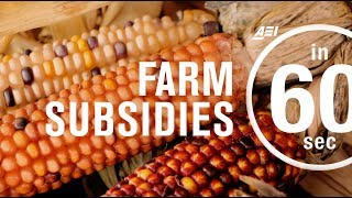 Farm subsidies How effective are they  IN 60 SECONDS [upl. by Kecaj]