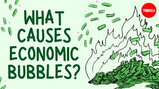 What causes economic bubbles  Prateek Singh [upl. by Nyvar775]