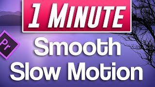 Premiere Pro  Smooth Slow Motion Tutorial With 30fps footage [upl. by Oijimer]