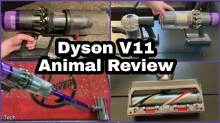 Dyson V11 Animal Review  Cordless Vacuum Demo [upl. by Krasnoff249]