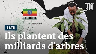 LEthiopie plante quatre milliards d’arbres en six mois [upl. by Nosreh]