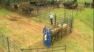 Priefert Small Cattle Working Systems [upl. by Anaillil]