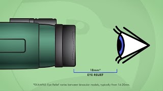 Understanding Binoculars Eye Relief [upl. by Salem]