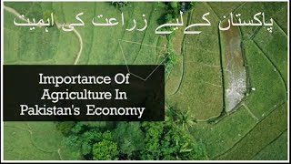 Importance of agriculture in Pakistan Role of Agriculture in economy of Pakistan [upl. by Lemuel970]