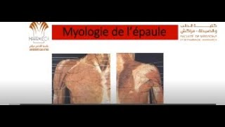 ANATOMIE FMPM MYOLOGIE DE L’ÉPAULE [upl. by Akilam498]