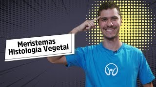 Meristemas  Histologia Vegetal  Brasil Escola [upl. by Ahsikel]