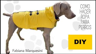 MOLDEABRIGO PARA PERRO MASCOTA Fabiana Marquesini  276 [upl. by Fitzger]