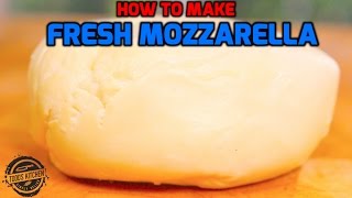 How to make Fresh Mozzarella Cheese recipe  Home Made DIY [upl. by Aniv]