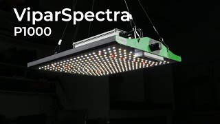 Viparspectra P1000 Grow light test and review [upl. by Ecyaj]