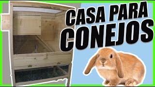 🐰Aprende cómo Crear CASA o JAULA para Tus CONEJOS [upl. by Loralee]