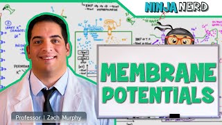 Neurology  Resting Membrane Graded Action Potentials [upl. by Aymik293]