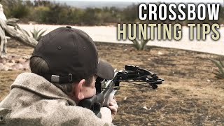 First Time Crossbow Hunting Tips [upl. by Nnaj]