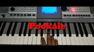 Pookkalae Sattru Oyivedungal  sped up  reverb From quotIquot [upl. by Sharai]