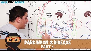 Diagnosing Parkinsons disease  Nervous system diseases  NCLEXRN  Khan Academy [upl. by Gussie473]