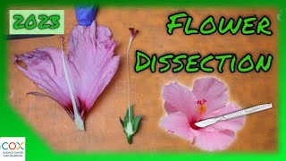 FLOWER DISSECTION Reproduction in Flowering Plants Virtual Lab  Virtual Science Shorts [upl. by Ytsirk]