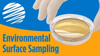 Environmental Surface Sampling Using Contact Agar Plates [upl. by Asirak429]