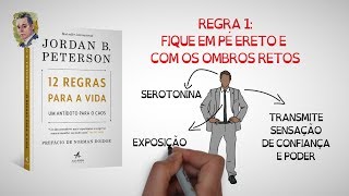 COMPLETO 12 REGRAS PARA A VIDA  Jordan Peterson  SejaUmaPessoaMelhor [upl. by Reffinnej]